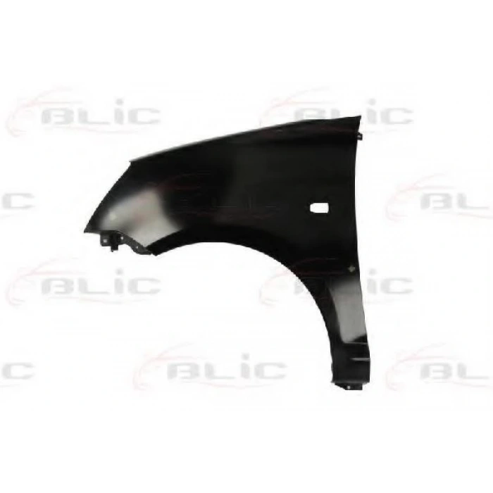 Çamurluk Pıcanto 05-08 Ön Sol (Oem No: 66311-07030)