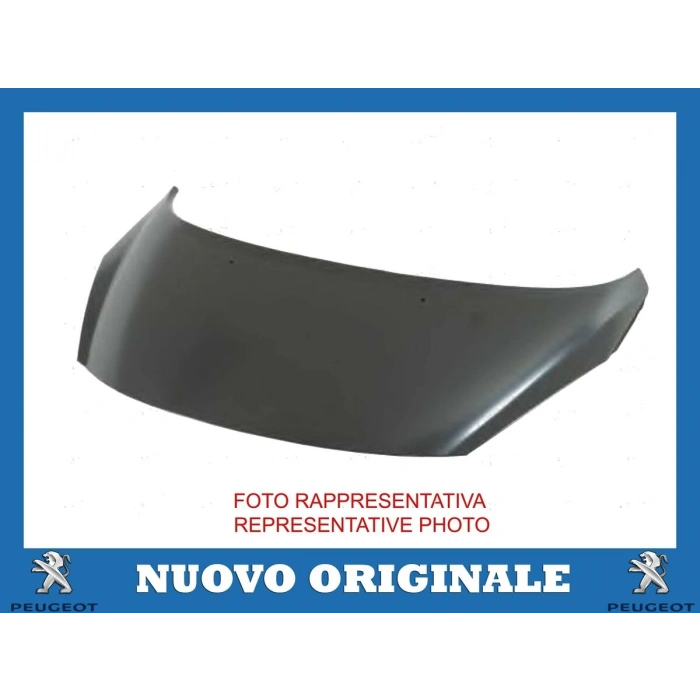 Motor Kaputu 307 06-09 (Oem No: 7901L9)