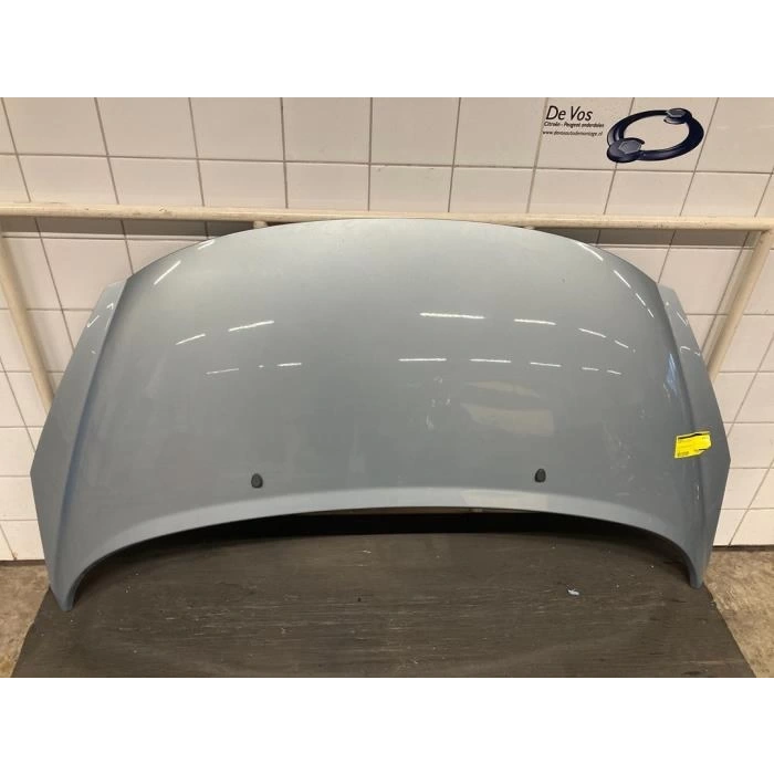 Motor Kaputu 207 06Sonrası (Sımyı) (Oem No: 7901N2)