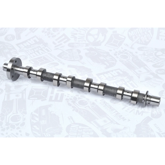 Eksantrik Mili Koleos I / Laguna Iı-Iıı / Megane Iı-Iıı / Trafıc Iı 2.0Dcı M9R Egzoz (Oem No: 8200827922)