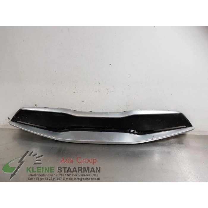 Panjur Stonıc 18-21 Ön (Krom Çıta) (Oem No: 86350-H8410)