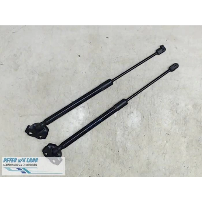 Bagaj Amortısörü Renault Megane Iıı Hatchback (Bz0_) Bm 07- (Oem No: 904510001R)