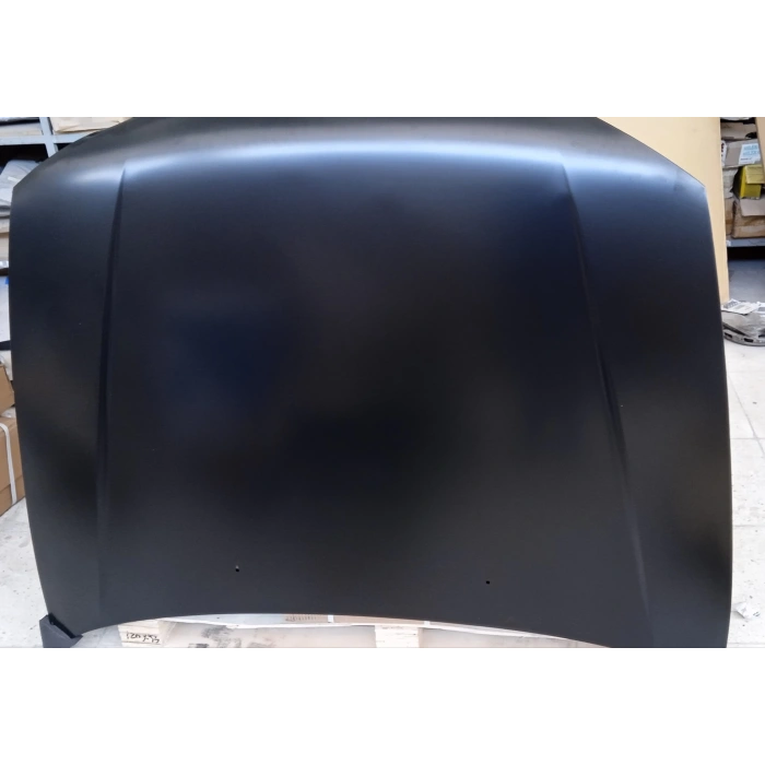 Motor Kaputu Accent 2000-2002 (Hasarlı) (Oem No:6640025320)