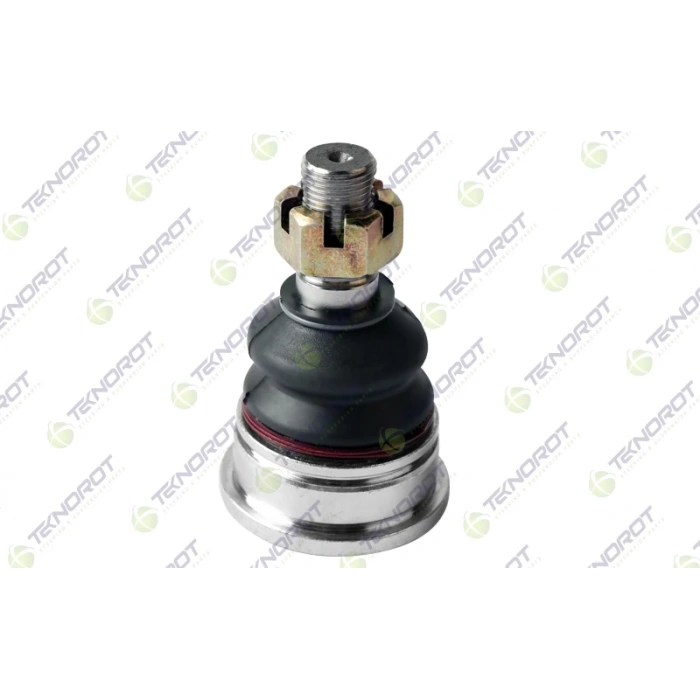 Rotil  D21 4X2 - 4X4 Alt