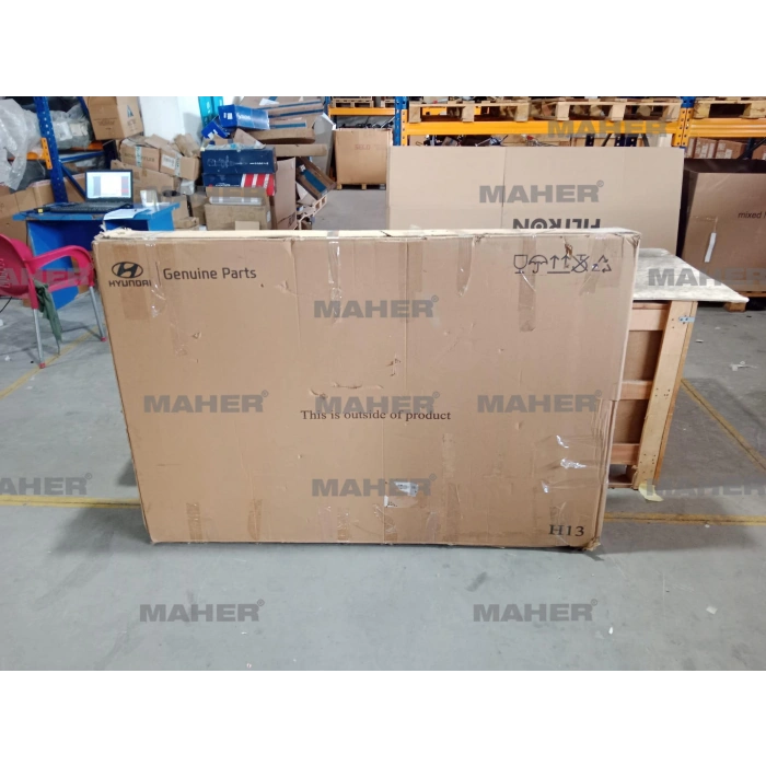 Motor Kaputu I-2020 2015-2018 (Hasarlı) (Oem No:66400C8000)