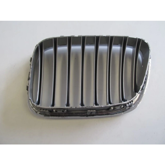 Bmw  X5   X5  2004-2006  Ön Panjur Sağ Nikelajlı (Petekleri Gümüş Gri)