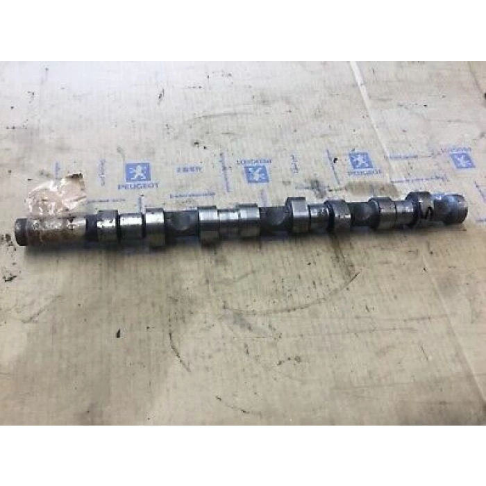 Eksantrik Mili Partner / 206 / 307 2002 Sonrası 2.0Hdı Dw10 (Oem No:0801T5)