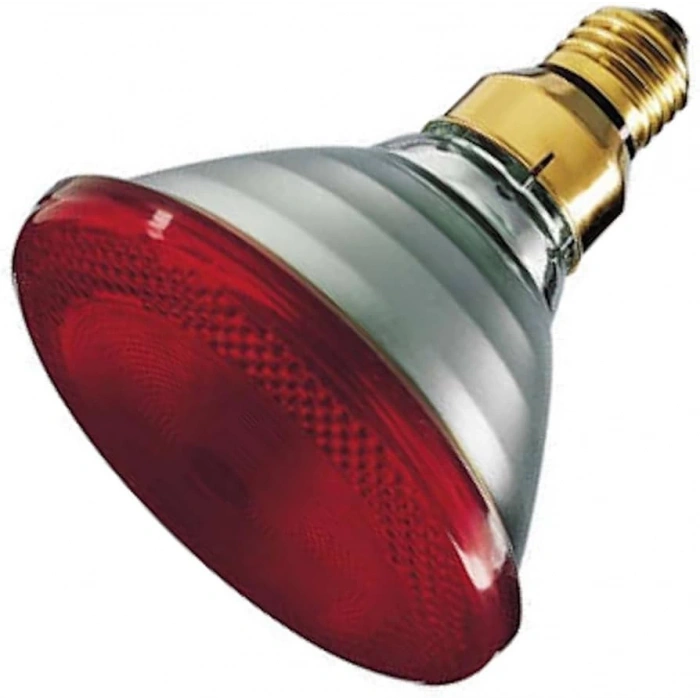 Psa  405 406 B.M 87-2004 Rotil Alt  (Oem No:364034)