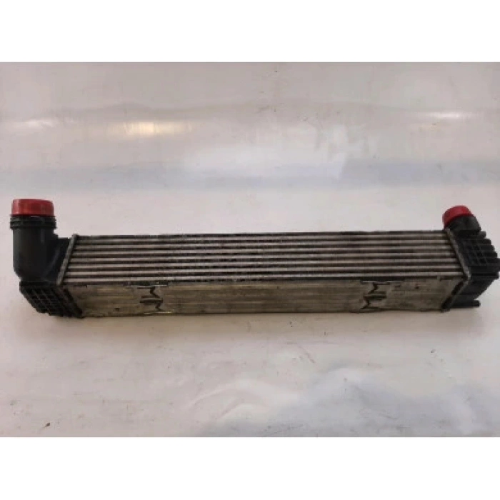 Renault Megane Iıı / Scenic Iıı 2.0 Dci 2007- Turbo Radyatörü Intercol (Oem No:144969107R)