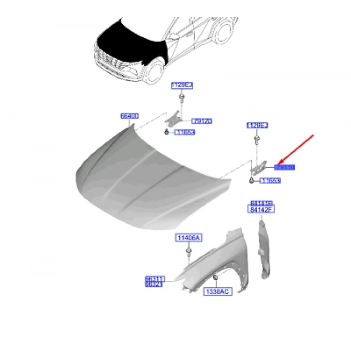 Kaput Menteşesi Tucson 2021 Sonrası Sol (Oem No:66910N7000)