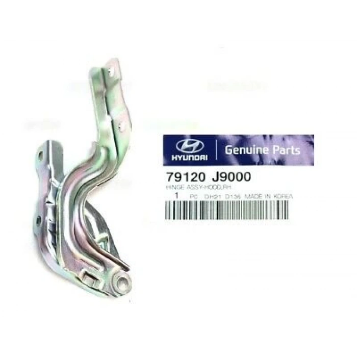 Kaput Menteşe Kona 2018 Sonrası Sağ (Oem No:79120J9000)