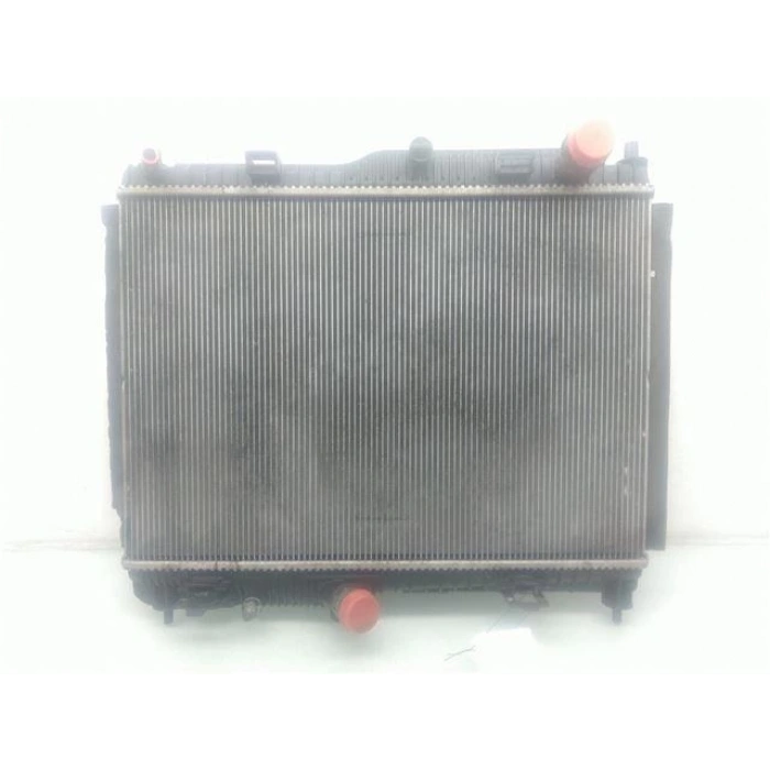 Ford Fiesta 1.0 Ecobost 2017- Su Radyatörü Brazıng (Oem No:Gn118005Ce)