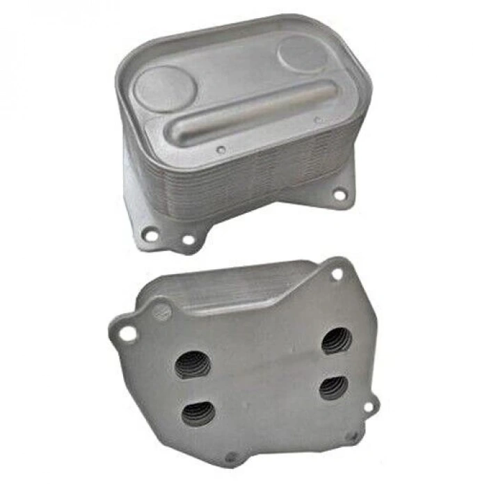 Bmw 1 Serisi-1 Serisi Lcı-1 Serisi-1 Serisi Lcı-3 Serisi-3 Serisi Lcı N13 2010-2018 Yağ Soğutucu  (Oem No:11427625489)