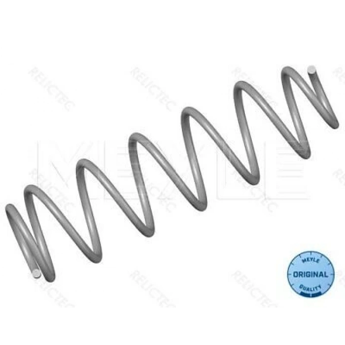 Renault Laguna Iı  2001- Helezon Yayı Arka  (Oem No:7700416116)