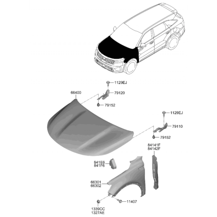 Kia Sorento- 2022-2024  Ön Çamurluk Sol Dodik Delikli (Tyg) (Oem No:66310P2000)