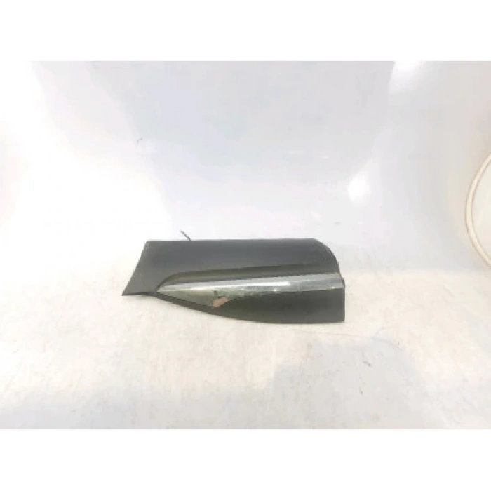 Renault Kadjar- 2015-2022  Arka Kapı Bandı Sol (Nikelaj Takılan Tip)(Tyg) (Oem No:828772890R)