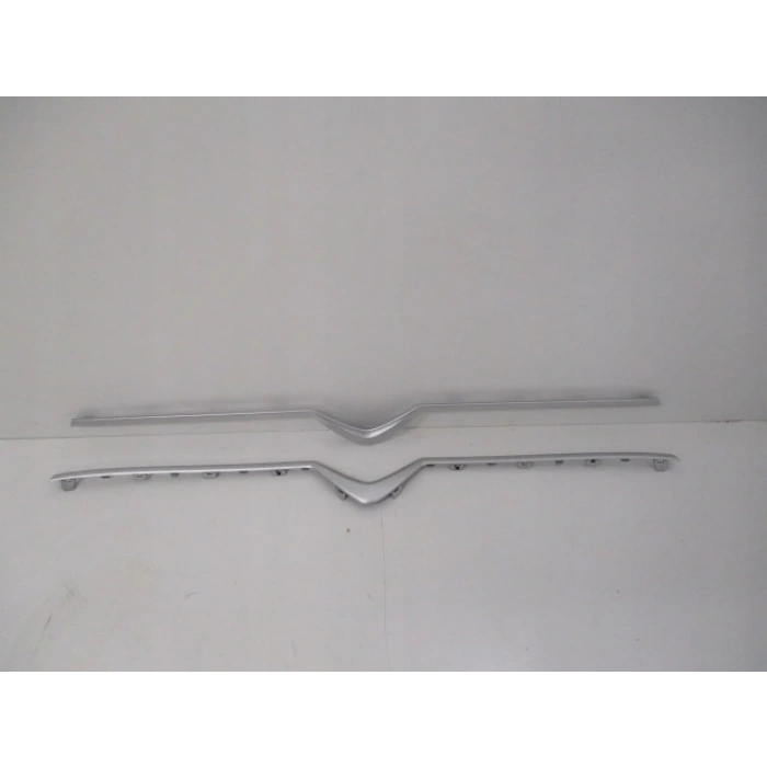 citroen berlingo- 2019-2024  ön panjur alt nıkelaj çıtası (tw) Oem No (9821888980)