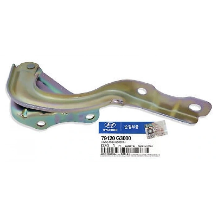 Kia Picanto 2017 sonrası sol kaput menteşesi Oem No (79110G6000)