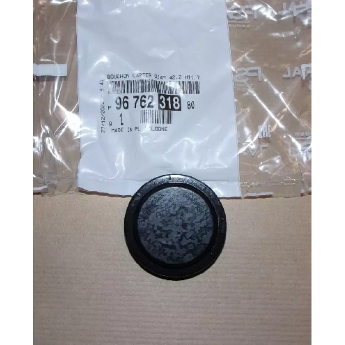 PSA 208 / 2008 1.2 Benzinli 2012- Blok Su Tapası Oem No (9676231580)