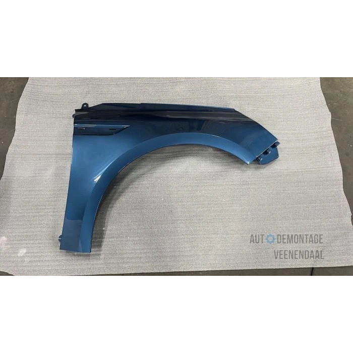 Megane Ön Çamurluk Sağ 2016- Oem No (631001203R)