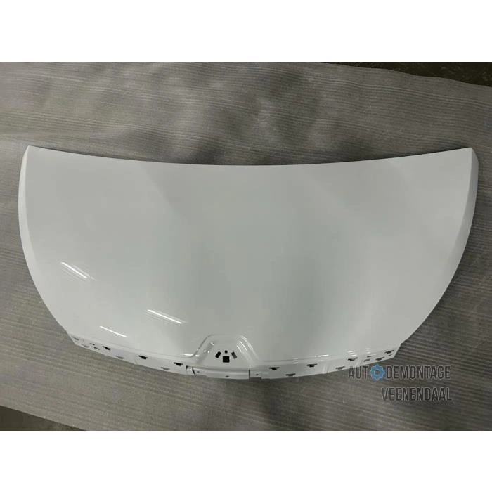 Traffıc 2014- Motor Kaputu Oem No (651009669R)