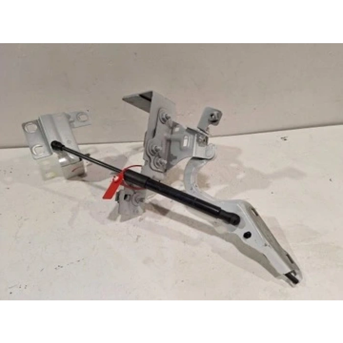 Traffıc 2001- Kaput Menteşesi Sağ Oem No (654003204R)