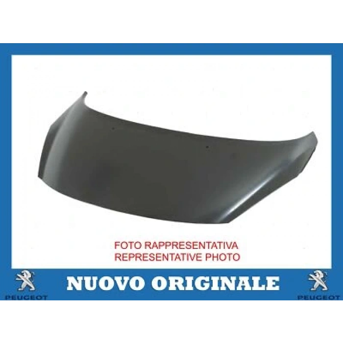 Peugeot 307 2005- Motor Kaputu Oem No (7901L9)