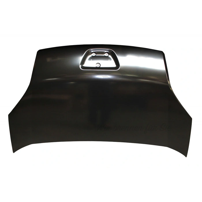 Bıpper 2007- Motor Kaputu Oem No (7901Q0)