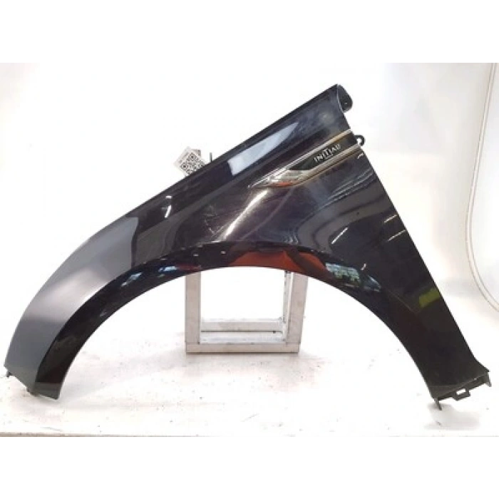 Renault Talısman Ön Çamurluk Astarlı Sol 2015- (Oem No:  631011712R)