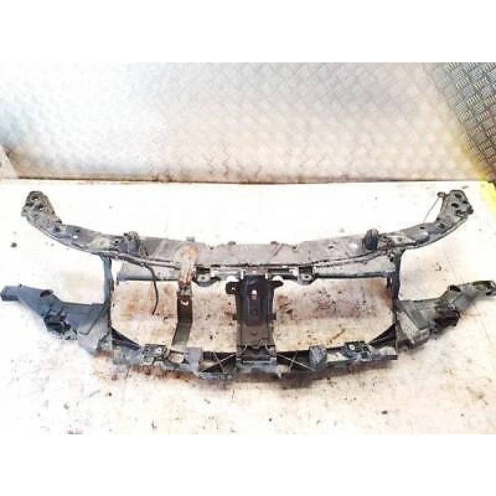 Renault Laguna Ön Panel 2008- (Oem No:  625100001R)