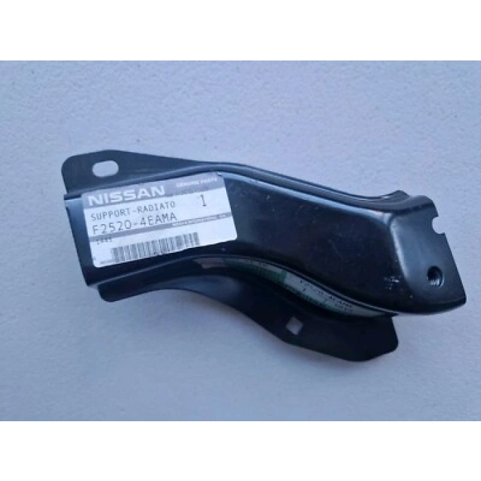 Nissan Qashqai Ön Panel Yan Sacı Sağ 2013- (Oem No:  F2520-4Eama)