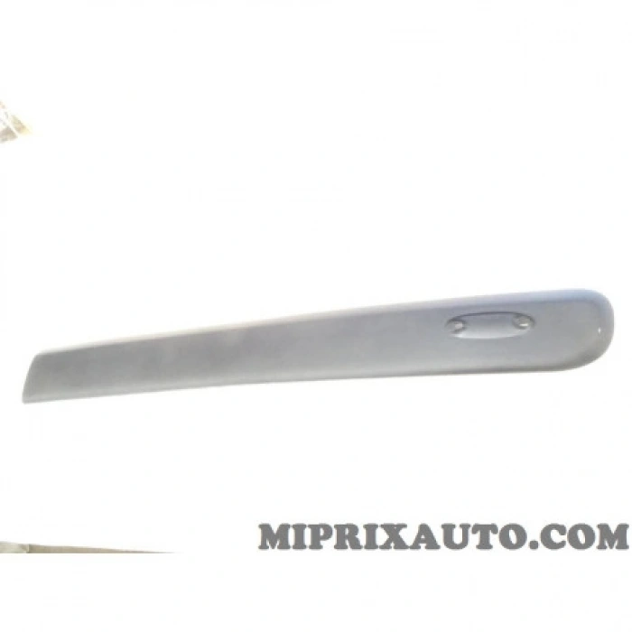 Renault Kangoo Ön Kapı Bandı  Sağ 2003- 2007 (Oem No:  808204020R)