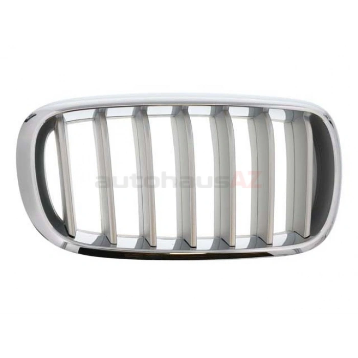 Bmw X5 X5 Ön Panjur Nikelaj Titan Sağ 2012- (Oem No:  51117303108)