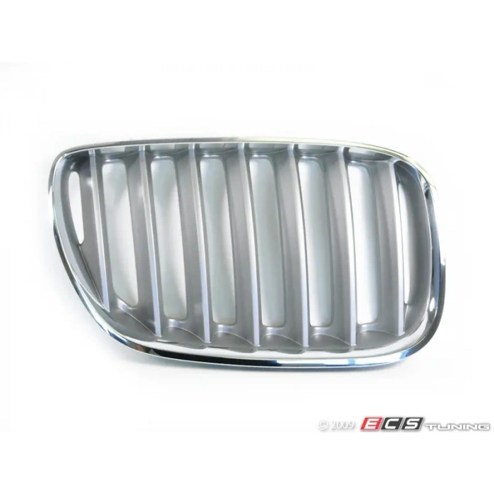 Bmw X5 Ön Panjur Nikelaj Tıtan Sağ 2004-2006 (Oem No:  51137124816)