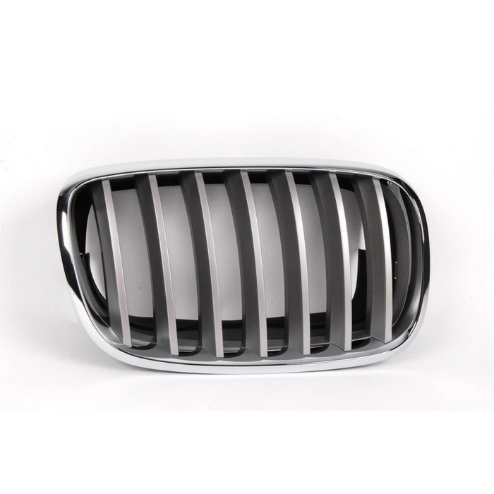 Bmw X5 Ön Panjur Nikelaj Grı Sağ 2007  (Oem No:  51137185224)