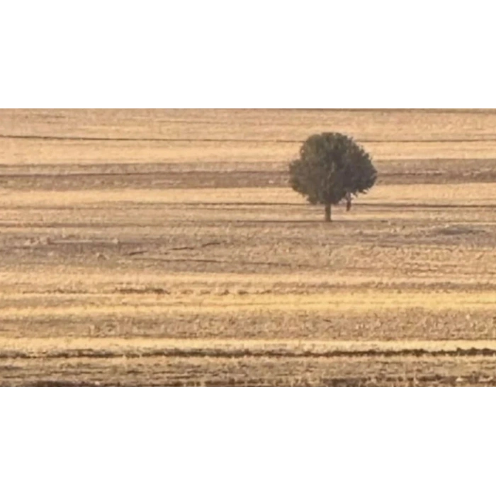 Opel Astra Arka Tampon Bandı Station Wagon Sol 2004- 2007 (Oem No:  1404197)