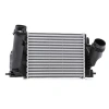 Turbo Radyatörü (Intercooler) Qashqaı 14Sonrası 1.6 Dcı / X-Traıl 13Sonrası 1.6Dcı / Kadjar / Megane / Talısman (Oem No: 144614Eb1B)