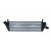 Turbo Radyatörü (Intercooler) Mıcra 02-10 1.5 Dcı (Oem No: 14461-Bc400)