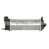 Turbo Radyatörü (Intercooler) Clıo Iıı 05-12 / Cıtan 12Sonrası / 1.5 Dcı Segmanlı Tip Brazıng (Oem No: 144961489R)