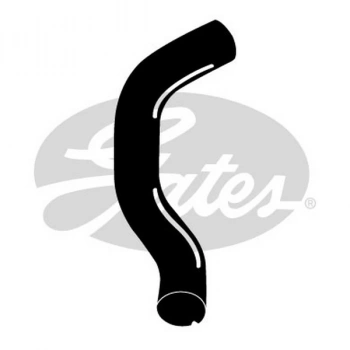 İdea 2004  Den İtibaren; Radyatör Hortumu Alt  (Oem No:51757064)