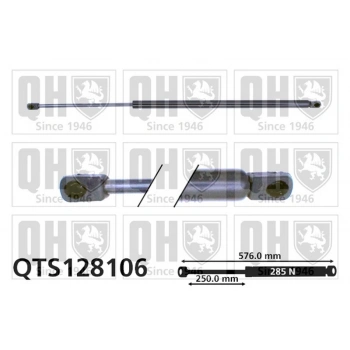 Ford Fiesta 96  Bagaj Amortisörü  (Oem No:96Fbb406A10Ba)