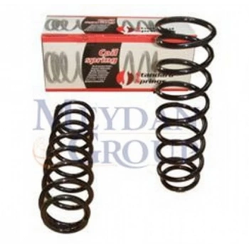 1992-1995 Honda Civic Hb Arka Helezon Yayı Sağ-Sol(2Li Set)1.3-1.5-1.6 (9,75X100X354) (Stdr) (Adet) (Oem No:52441Sr3N02)