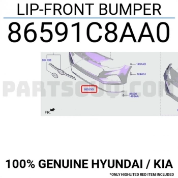 Tampon Alt Koruyucu Karlık İ20 18= On (1 Adet) (Oem No: 86591-C8Aa0)