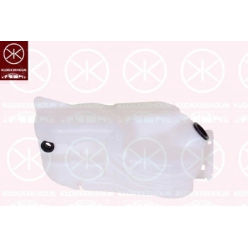 2007-2014 Nissan Qashqai J10 Cam Su Bidonu-Deposu (Tyg) (Adet) (Oem No:28910Jd000)