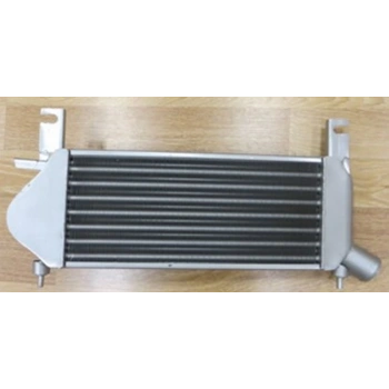 2016-2020 Nıssan Pıck Up Navara- İntercooler Hava Soğutma Radyatörü Küçük Tip Oem No: 14461Eb360