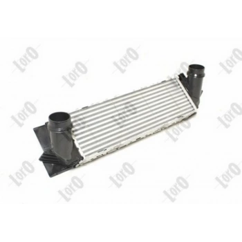 Master Iıı 2011  Turbo Radyatörü Intercooler 731 X 172 X 50 (Oem No:144960015R)