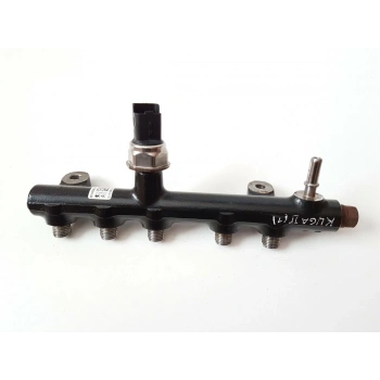 Enjektör Rampası Psa 308/3008 2.0 Hdı 2014- (Oem No: 9674300080)