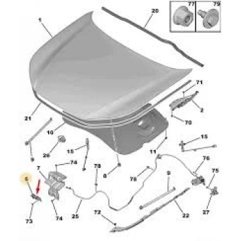 Kaput Kilidi Psa C4 (C41) (Oem No: 9821652480)