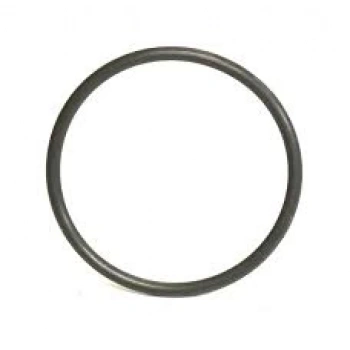 Yakıt Pompa Orıngı Opel Insıgnıa A A20Nht 09- (Oem No: 12600313)