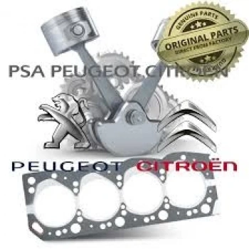 Vıraj Askı Rotu Psa Partner / Rıfter B.M 2019- (Oem No: 9846549080)